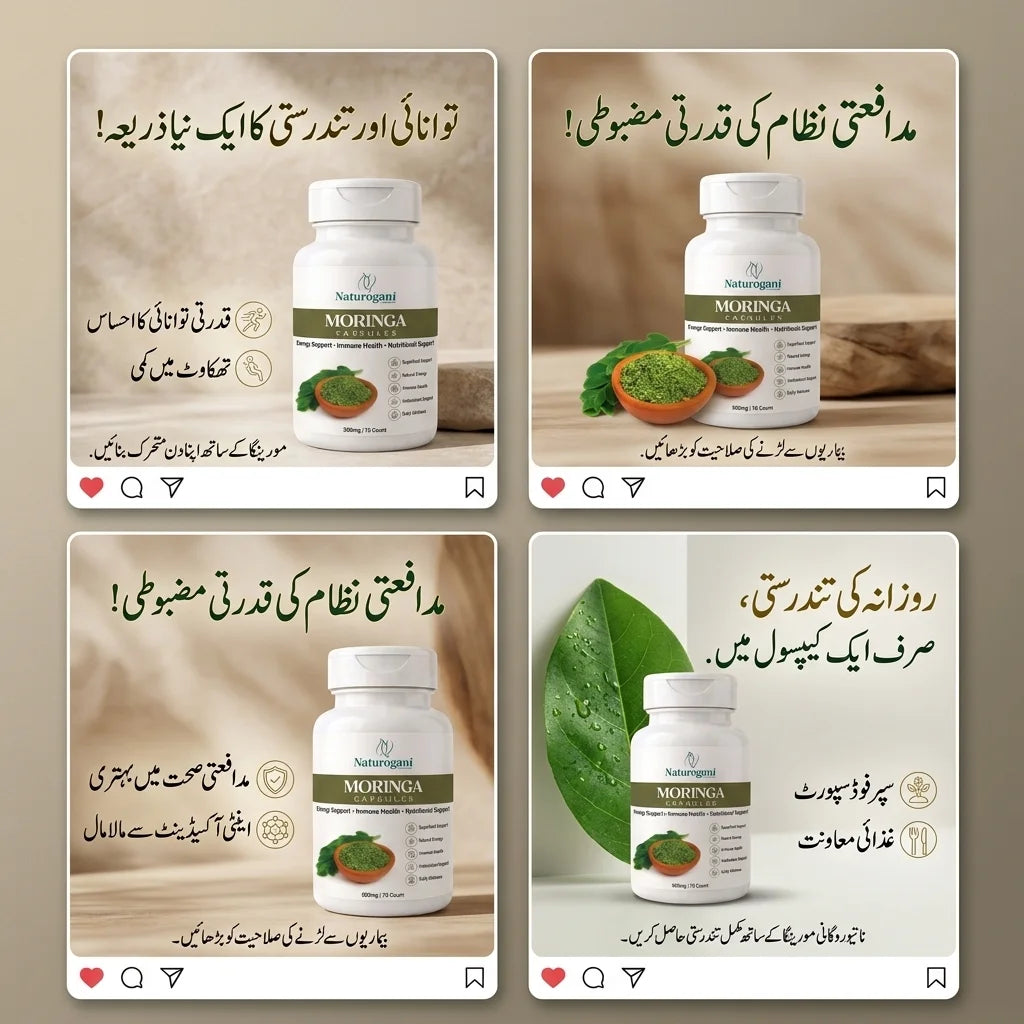 Moringa Capsules | Healthy Blood Sugar, Nutritional , Immune & Digestiver, Skin & Hair Support